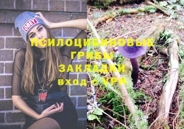 каннабис Алзамай