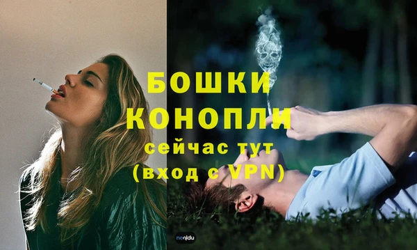 мдма Ельня