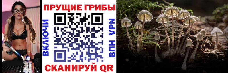 Галлюциногенные грибы ЛСД  цена наркотик  Бирюсинск 
